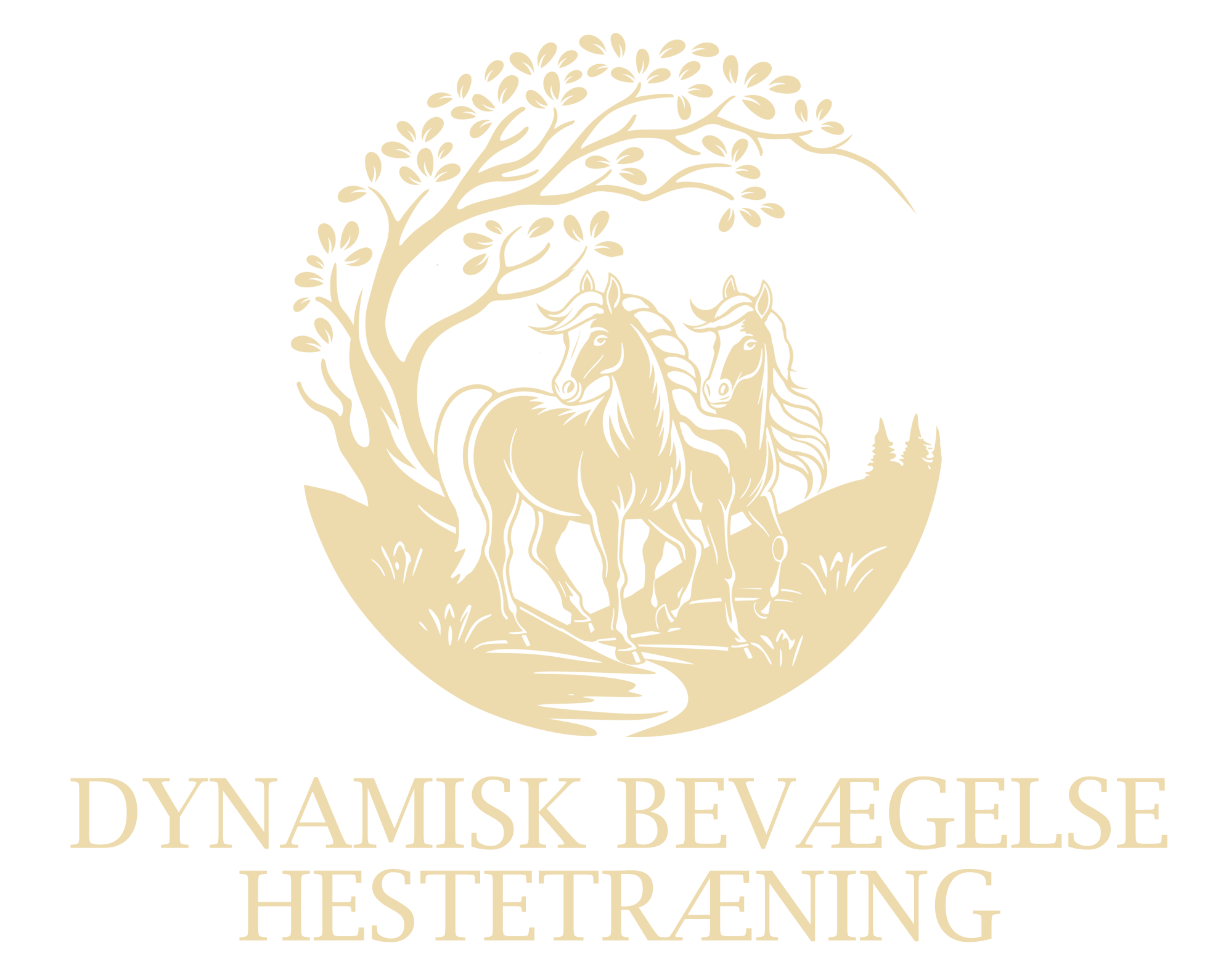 Dynamisk Bevægelse Hestetræning